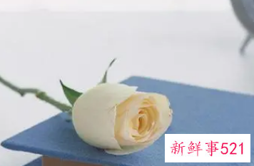 简单随意淡然网名繁体字