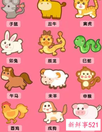 十二生肖所有属性大全