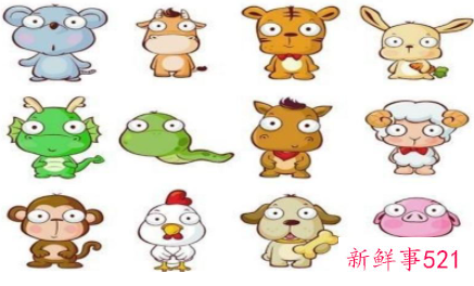 十二生肖所有属性大全