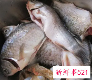 吃鱼是不是会加重湿气