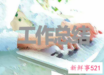 个人工作总结范文500