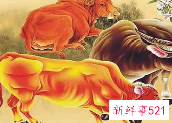 属牛人一生佩戴什么好