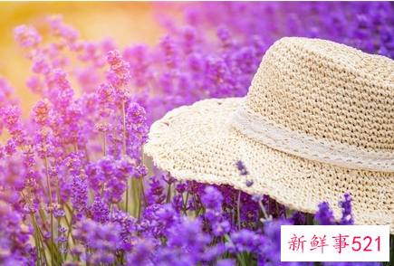 懒惰型抑郁有救了