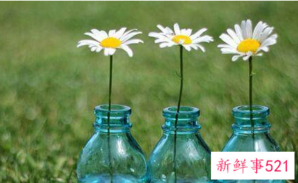 最暖心的表白情话有哪些