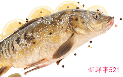 鱼不能和什么食物在一起吃