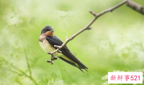 魅力女人具备哪些条件