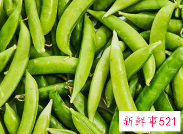 豌豆的蛋白质含量多少