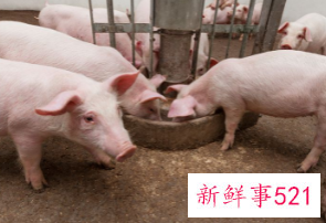 畜牧行业安全生产工作