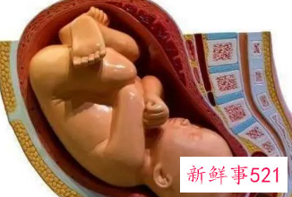 怀孕37周胎儿大小