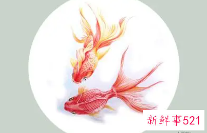 2022星座事业排名