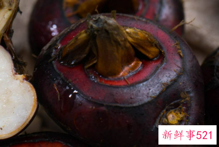 荸荠发芽了还能吃吗