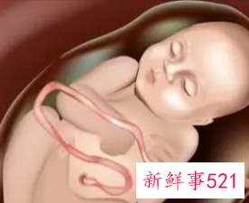 38周胎儿发育标准数值