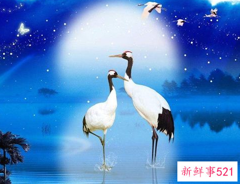 梦见孕妇梦见仙鹤有什么征兆