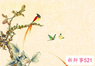 狮子座近期感情运势后半年