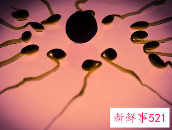 怎样提高y精子活力与质量达到生男目的