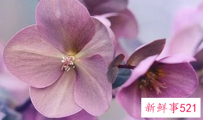 妻子爱着丈夫的表现