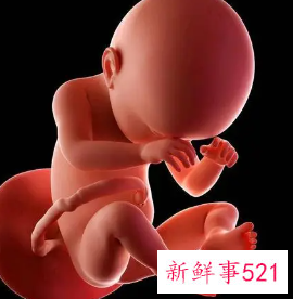 正常的胚胎很坚强