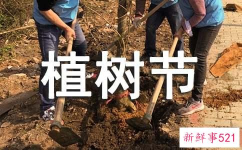 幼儿园植树节主题活动方案