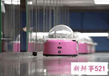 智慧餐厅保障冬奥会饮食