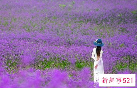 懒惰型抑郁有救了