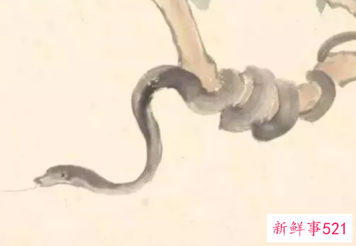 十二生肖什么命最好