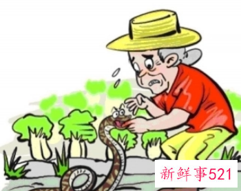 梦见被蛇咬伤有什么征兆
