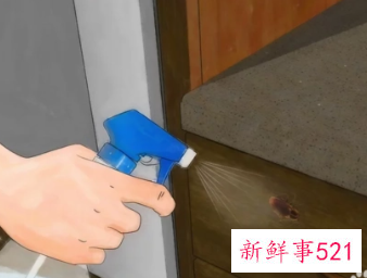 有什么驱蟑螂的可以放在床上的