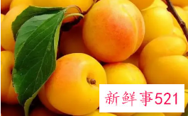 杏子的功效与作用