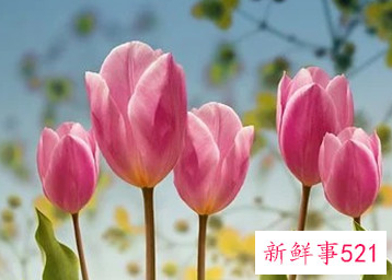 妻子爱着丈夫的表现