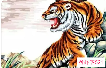 属虎女带什么好招财