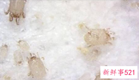 没时间晒被子怎么办