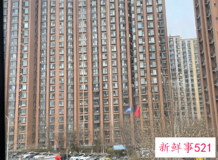 通透和采光哪个更重要