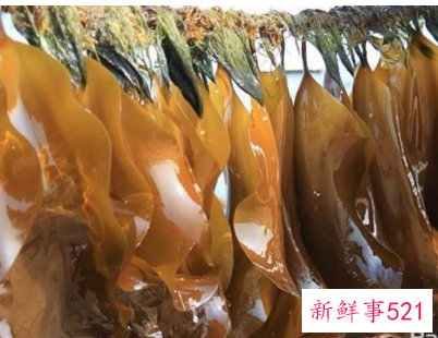 春季适合吃的蔬菜视频