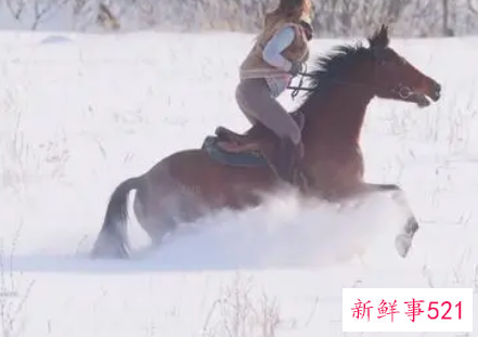 梦见雪地骑马是什么意思