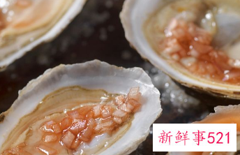 女人怀孕可以吃生蚝吗