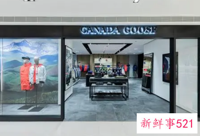 加拿大鹅不能防疫口罩售价近千元详细情况