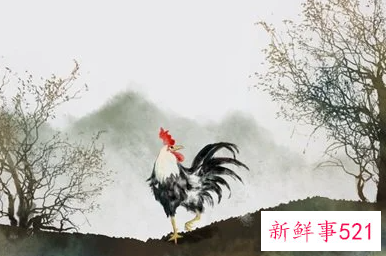 93年的鸡错过了28岁的姻缘