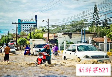 梦见大雨水淹马路