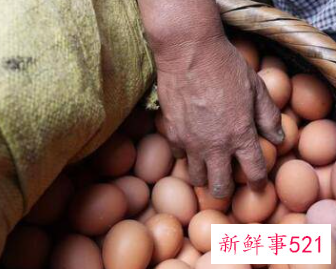 怎么保存鸡蛋半年不坏