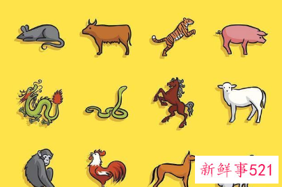 对爱情品质最有要求的生肖女