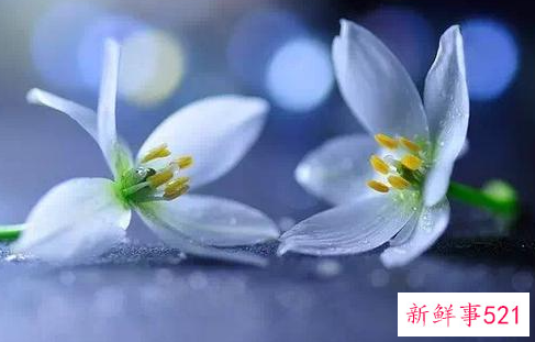 感悟人生最重要的态度