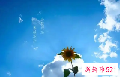 很经典致成长路上自己的说说