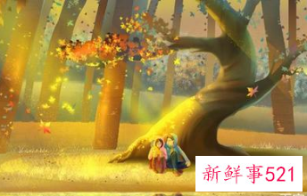 夫妻用什么来维持婚姻才能长久