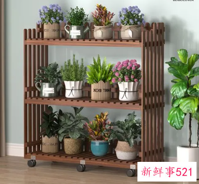 室内花架有哪些种类呢