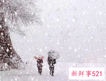 梦见很厚的雪预示什么