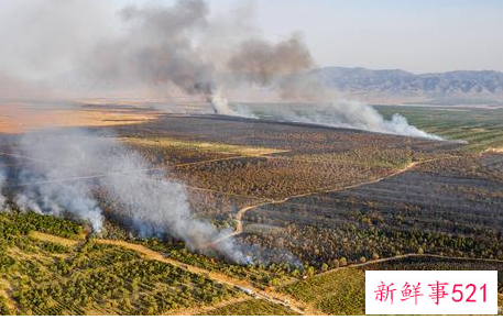 安全小口诀六句