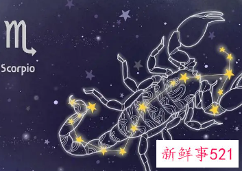 天蝎座适合的职业女