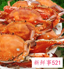 蒸螃蟹怎么吃法是正确的