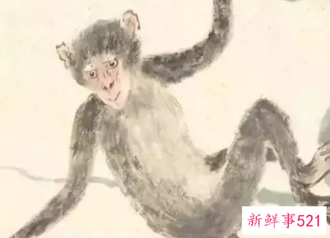 十二生肖什么命最好