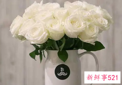 白色象征爱情的寓意